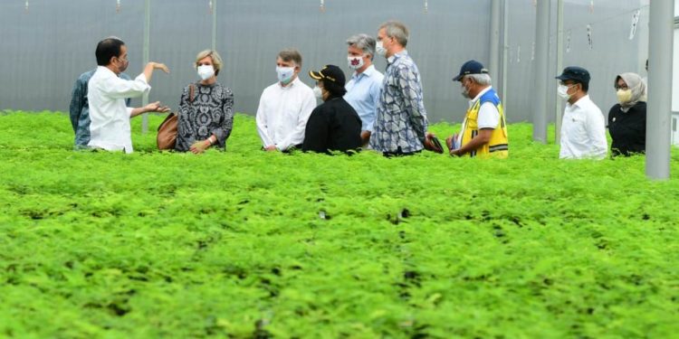 Bangun Nursery Center, Indonesia Tunjukkan Aksi Nyata Mitigasi Perubahan Iklim