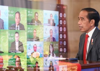 KTT APEC-ABAC: Jokowi Fokus Bangun UMKM dan Mitigasi Perubahan Iklim