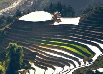 Ubud, Bali Jadi Destinasi Wisata ke 4 Terbaik di Dunia