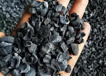 Jepang Siap Impor Besar-besaran Cangkang Sawit Indonesia