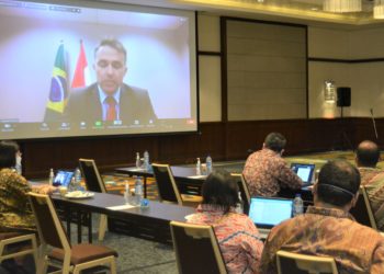 Presidensi G20: Indonesia-Amerika Latin dan Karibia Bahas Pemulihan Ekonomi dan Aksi Iklim