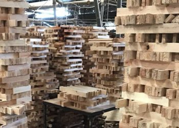 Indonesia Potensi Kuasai Pasar Kayu Global Senilai USD2,1 Triliun