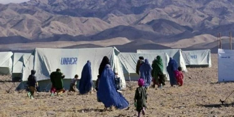 Pertemuan Darurat OKI Hasilkan 2 Resolusi Atasi Krisis di Afganistan