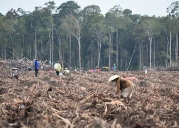 Kurangi Konsumsi Nasi, Bermanfaat Bagi Tubuh dan Selamatkan Lingkungan