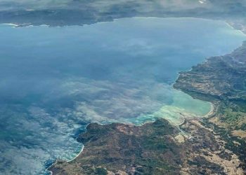 Indonesia Gandeng FAO dalam Konservasi Ikan Sidat