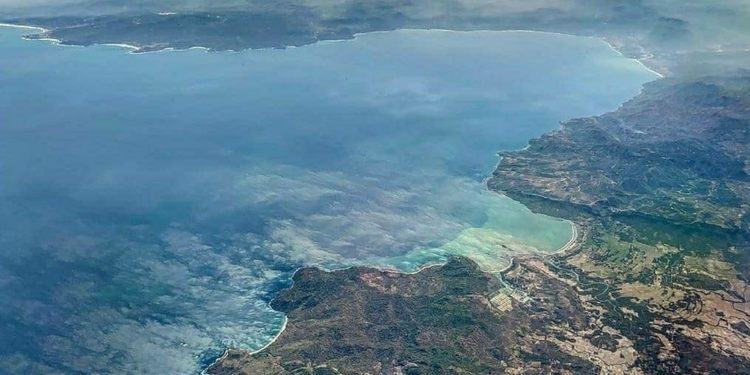 Indonesia Gandeng FAO dalam Konservasi Ikan Sidat