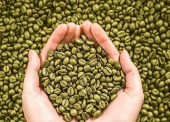 Perusahaan Perdagangan Indonesia Kembali Ekspor 120 Ton Kopi ke Mesir