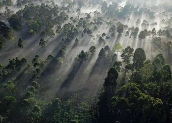 ADB Kucurkan USD60 Juta Kepada ECOM untuk Bantu Petani di Asia Pasifik