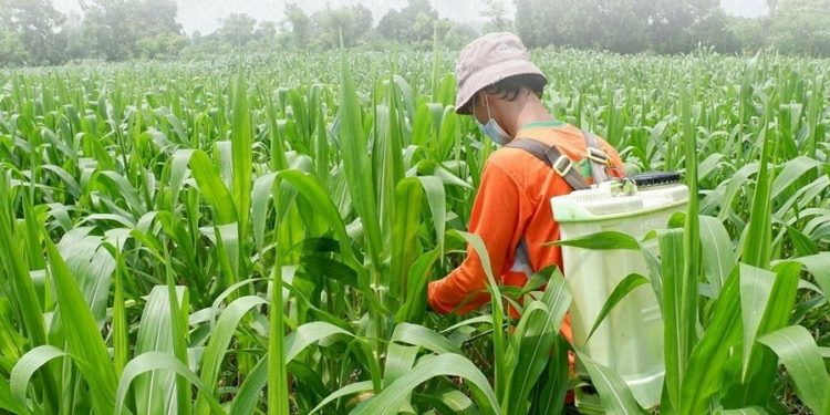 Banyuwangi Lepas Ekspor 1 Juta Liter Reduktan Herbisida ke Malaysia