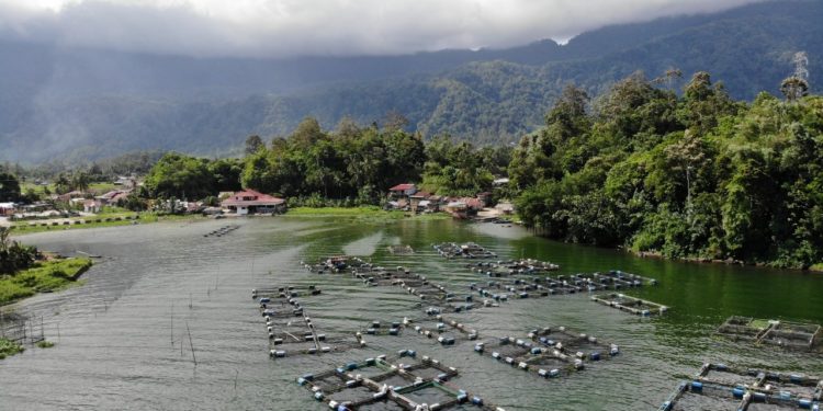 Degradasi Habitat dan Limbah Mengancam Ekologi Danau Maninjau