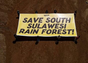 Pertambangan Nikel Hancurkan Hutan Hujan di Sulawesi