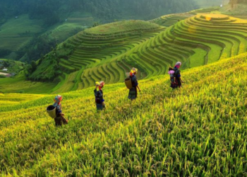 Masa Depan Industri Pariwisata Global Belum Cerah Hingga 2024