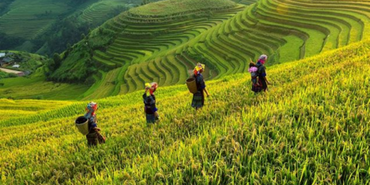 Masa Depan Industri Pariwisata Global Belum Cerah Hingga 2024