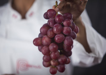 Ekspor Agrifood Peru ke Indonesia Tembus USD29 Juta