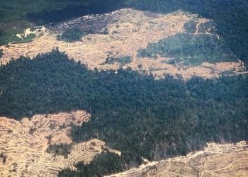 Alasan Utama Pencabutan Ribuan IUP, HGU, dan HGB di Indonesia