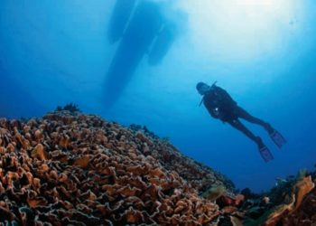 Indonesia Tetapkan Dua Kawasan Konservasi Laut Baru