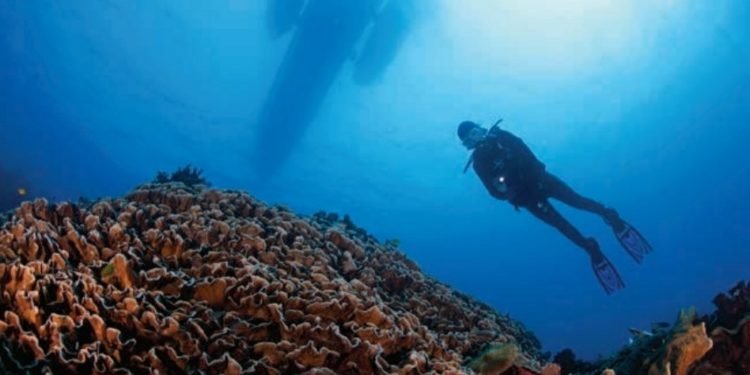 Indonesia Tetapkan Dua Kawasan Konservasi Laut Baru