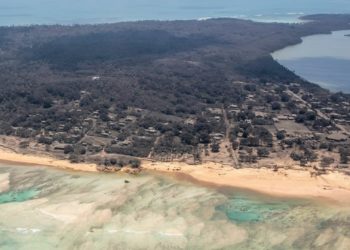 Solidaritas Bencana, Singapura Sumbang Rp533 Juta untuk Tonga 1
