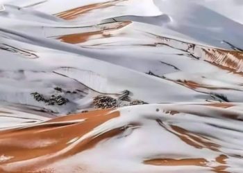 Efek Perubahan Iklim, Gurun Sahara Diselimuti Salju