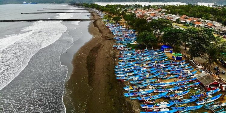 Mitigasi Tsunami, 3.000 Pohon Cemara Ditanam di Pesisir Selatan 1