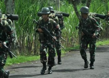 PDIP Dukung Operasi Khusus TNI Tumpas KKB Papua 1