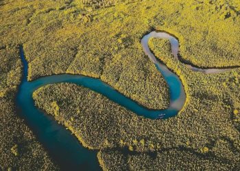 Pulau Sulawesi, Rumah Bagi Spesies Flora dan Fauna Endemik di Indonesia