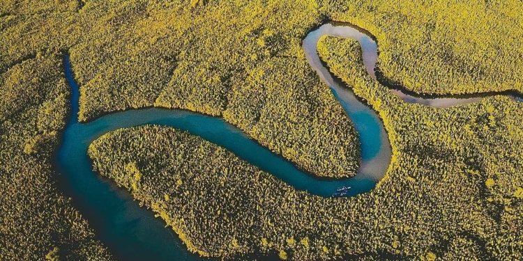 Pulau Sulawesi, Rumah Bagi Spesies Flora dan Fauna Endemik di Indonesia