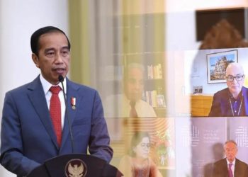 Indonesia Punya Segalanya untuk Mempercepat Transformasi Energi Global