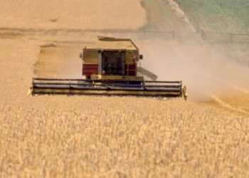 Indonesia Apresiasi Tawaran Program Agriculture Visa dari Australia