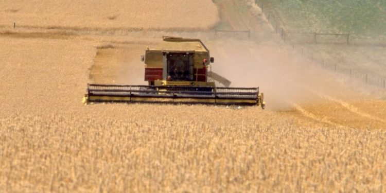 Indonesia Apresiasi Tawaran Program Agriculture Visa dari Australia 1 Indonesia Apresiasi Tawaran Program Agriculture Visa dari Australia