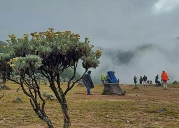 Konservasi Cagar Biosfer Cibodas Jadi Referensi di Asia Pasifik