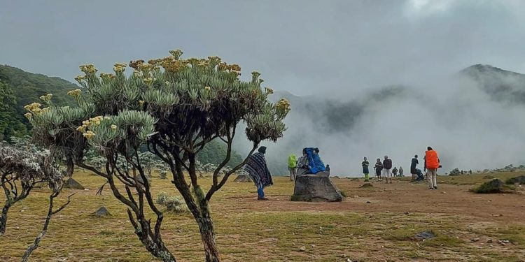 Konservasi Cagar Biosfer Cibodas Jadi Referensi di Asia Pasifik