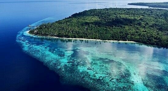 Hari Laut Sedunia, Riset dan Inovasi Kelautan di Wakatobi Jadi Referensi di ASEAN