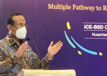 DEN: Investasi EBT di Indonesia Masih Mahal, Butuh Inovasi Teknologi