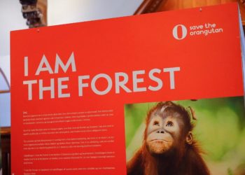 Indonesia Gaungkan Konservasi Orangutan Melalui Pameran Foto “I am the Forest”
