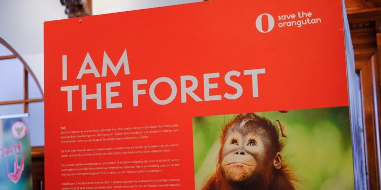 Indonesia Gaungkan Konservasi Orangutan Melalui Pameran Foto “I am the Forest”