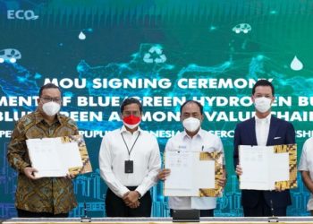 Indonesia Mulai Garap Green Hydrogen, Ammonia dan CCUS