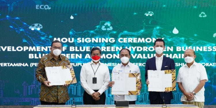 Indonesia Mulai Garap Green Hydrogen, Ammonia dan CCUS