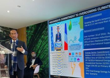 Indonesia Targetkan Net Zero Emission pada 2060