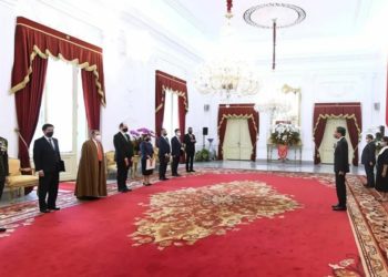 Spanyol, Turki, Aljazair, Peru, Vietnam dan China Ingin Majukan Relasi dengan Indonesia