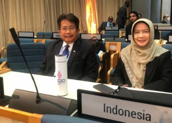 Indonesia Berhasil Loloskan Resolusi Danau di PBB