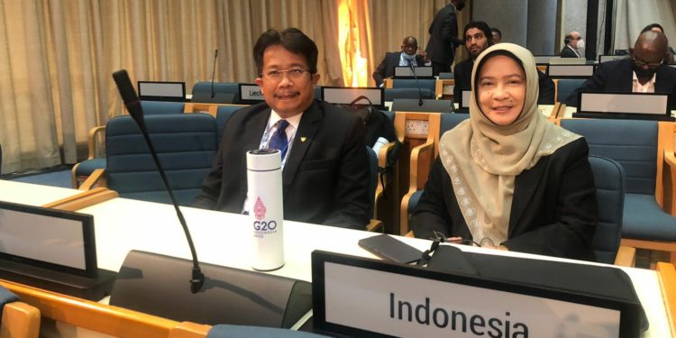 Indonesia Berhasil Loloskan Resolusi Danau di PBB