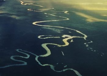 Menyelamatkan Populasi Ikan Endemik di Sungai Kampar dari Ancaman Kepunahan