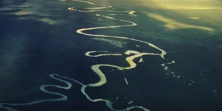 Menyelamatkan Populasi Ikan Endemik di Sungai Kampar dari Ancaman Kepunahan