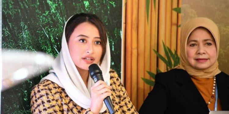 Perhelatan IPU di Bali, Transisi Energi dan Perubahan Iklim 1
