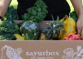 Sayurbox Indonesia Raih Rp1,7 Triliun dari Northstar, Alpha JWC Ventures dan IFC