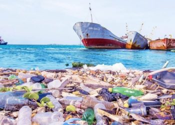 Riset: Ilmuwan Temukan 5.500 Virus Baru di Lautan
