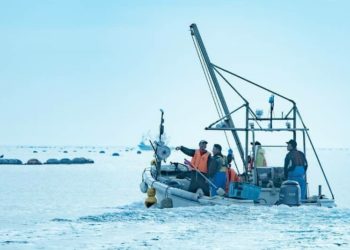 Jepang dan Rusia Sepakati Kuota Penangkapan Ikan