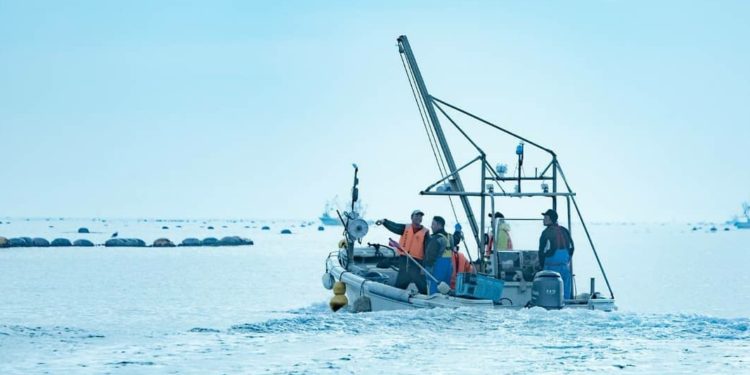 Jepang dan Rusia Sepakati Kuota Penangkapan Ikan