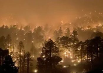 Kebakaran Hutan di New Mexico, Ribuan Orang Melarikan Diri